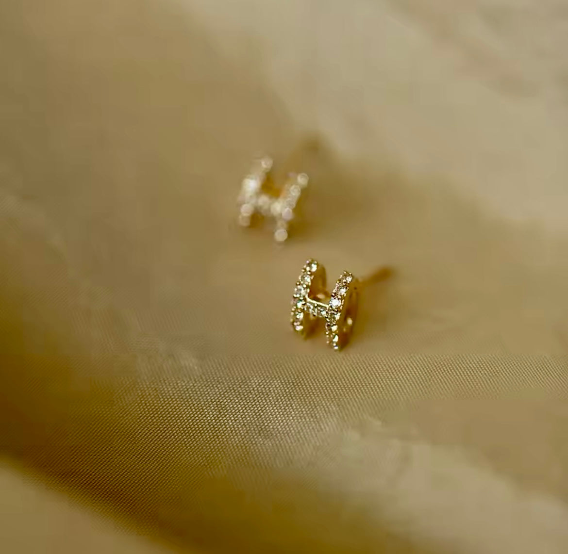 Haute High-End Earrings